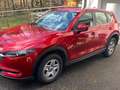 Mazda CX-5 G165 Emotion  servicegepflegt+ 8 Reifen+ Vignette Rot - thumbnail 2