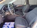 Ford Kuga 2.0 Titanium AWD VIRTUAL BLIS Head-Up Blanc - thumbnail 11