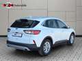 Ford Kuga 2.0 Titanium AWD VIRTUAL BLIS Head-Up Blanc - thumbnail 14