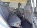 Ford Kuga 2.0 Titanium AWD VIRTUAL BLIS Head-Up Weiß - thumbnail 30