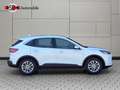 Ford Kuga 2.0 Titanium AWD VIRTUAL BLIS Head-Up Blanc - thumbnail 15