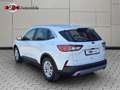 Ford Kuga 2.0 Titanium AWD VIRTUAL BLIS Head-Up Blanc - thumbnail 3