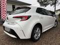 Toyota Corolla 122h Dynamic MY21 Blanc - thumbnail 4