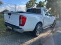 Nissan Navara Navara 2.3 dci d.cab Tekna 4wd 190cv E6 Blanc - thumbnail 7