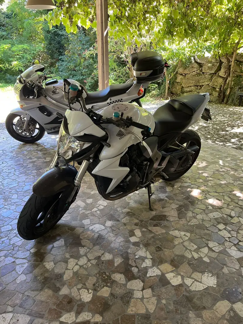 Honda CB 1000 Bianco - 1