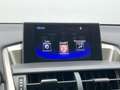 Lexus NX 300h AWD Navi Camera Leer Trekhaak Hoge zit Business Li Gris - thumbnail 14
