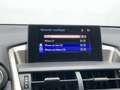 Lexus NX 300h AWD Navi Camera Leer Trekhaak Hoge zit Business Li Gris - thumbnail 15
