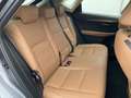 Lexus NX 300h AWD Navi Camera Leer Trekhaak Hoge zit Business Li Gris - thumbnail 19