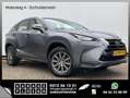 Lexus NX 300h AWD Navi Camera Leer Trekhaak Hoge zit Business Li Grau - thumbnail 1