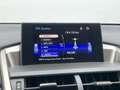 Lexus NX 300h AWD Navi Camera Leer Trekhaak Hoge zit Business Li Gris - thumbnail 13