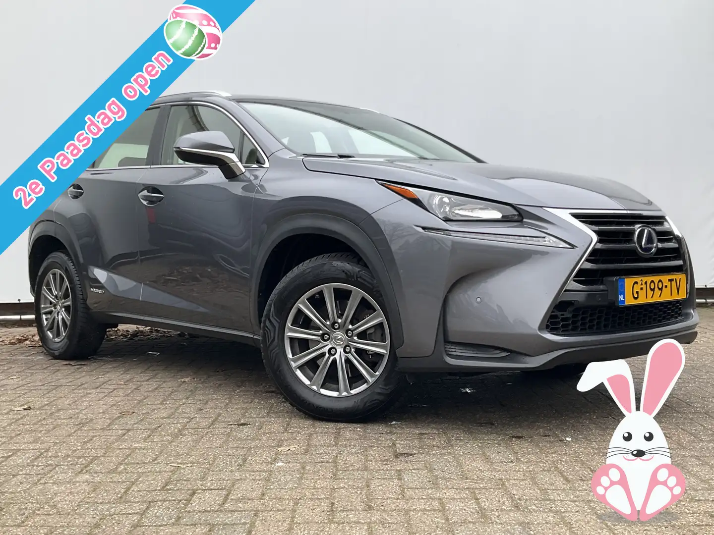 Lexus NX 300h AWD Navi Camera Leer Trekhaak Hoge zit Business Li Gris - 1