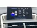 Lexus NX 300h AWD Navi Camera Leer Trekhaak Hoge zit Business Li Gris - thumbnail 16