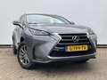 Lexus NX 300h AWD Navi Camera Leer Trekhaak Hoge zit Business Li Gris - thumbnail 39