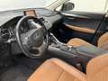 Lexus NX 300h AWD Navi Camera Leer Trekhaak Hoge zit Business Li Gris - thumbnail 34