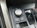 Lexus NX 300h AWD Navi Camera Leer Trekhaak Hoge zit Business Li Gris - thumbnail 17