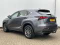 Lexus NX 300h AWD Navi Camera Leer Trekhaak Hoge zit Business Li Gris - thumbnail 2