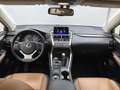 Lexus NX 300h AWD Navi Camera Leer Trekhaak Hoge zit Business Li Gris - thumbnail 32