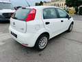 Fiat Punto 1.2 8V 5 porte Street Bianco - thumbnail 4
