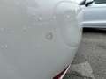 Fiat Punto 1.2 8V 5 porte Street Bianco - thumbnail 12