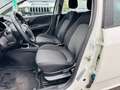 Fiat Punto 1.2 8V 5 porte Street Bianco - thumbnail 7
