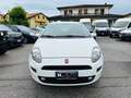 Fiat Punto 1.2 8V 5 porte Street Bianco - thumbnail 6