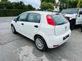 Fiat Punto 1.2 8V 5 porte Street Bianco - thumbnail 3