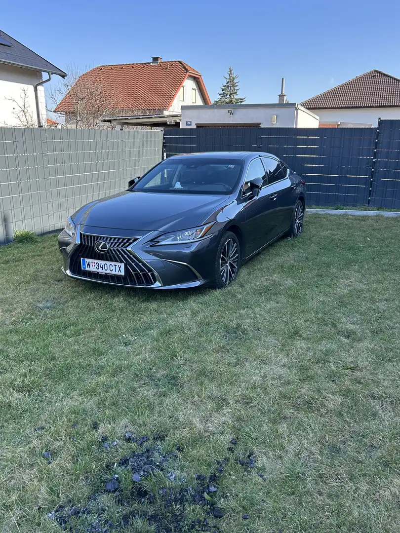 Lexus ES 300 300h Business Aut. - 1
