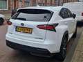 Lexus NX 300h NX 300h 300h AWD Luxury Line Blanco - thumbnail 4