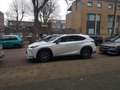 Lexus NX 300h NX 300h 300h AWD Luxury Line Blanco - thumbnail 2