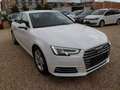 Audi A4 sport ultra *TOP ZUSTAND;SH;TEMPOMAT;NAVI* Blanco - thumbnail 2