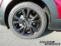 Mazda CX-30 Homura Automatik 2.5 e-SKYACTIV-G 140 M Hybrid EU6 Rot - thumbnail 21