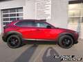 Mazda CX-30 Homura Automatik 2.5 e-SKYACTIV-G 140 M Hybrid EU6 Rot - thumbnail 6