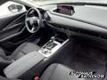 Mazda CX-30 Homura Automatik 2.5 e-SKYACTIV-G 140 M Hybrid EU6 Rot - thumbnail 8