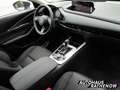 Mazda CX-30 Homura Automatik 2.5 e-SKYACTIV-G 140 M Hybrid EU6 Rot - thumbnail 7