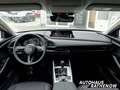 Mazda CX-30 Homura Automatik 2.5 e-SKYACTIV-G 140 M Hybrid EU6 Rot - thumbnail 9