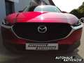 Mazda CX-30 Homura Automatik 2.5 e-SKYACTIV-G 140 M Hybrid EU6 Rot - thumbnail 3
