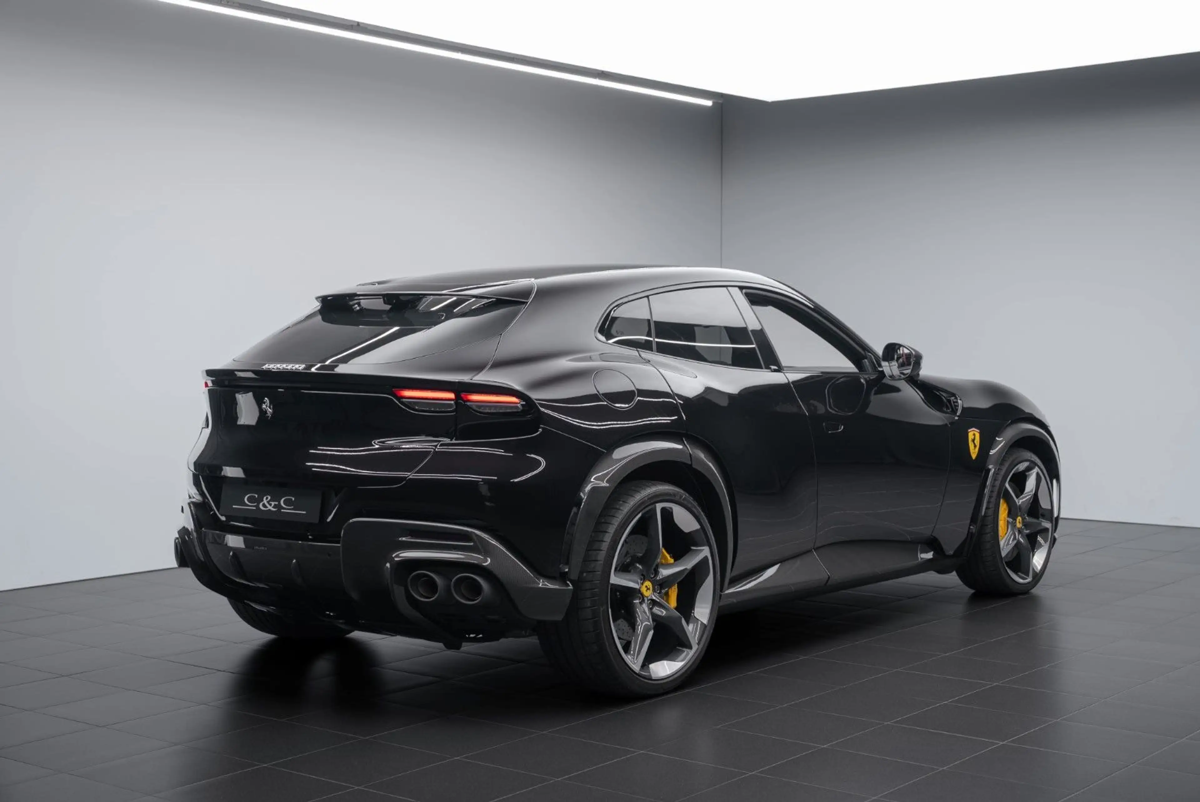 Ferrari Purosangue FULL CARBON/FULL PPF/PAINTED SHIELDS — photo 2