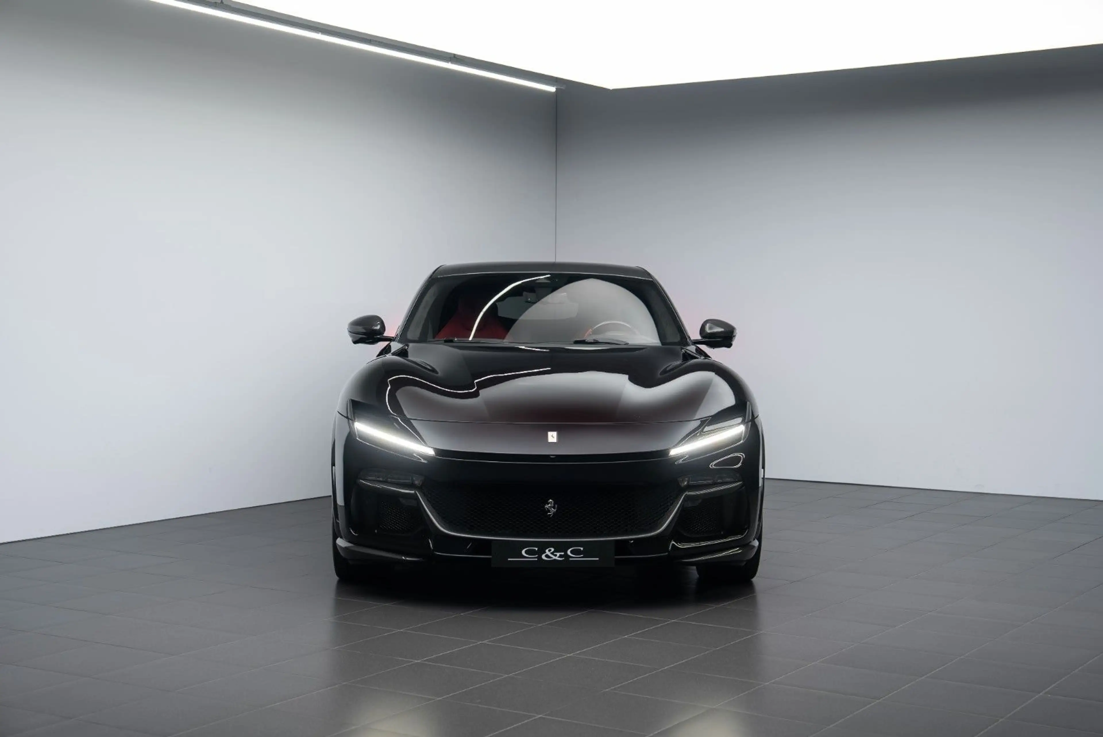 Ferrari Purosangue FULL CARBON/FULL PPF/PAINTED SHIELDS — photo 3