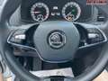 Skoda Karoq Ambition 4x4 2.0 TDI DSG *LED *Kamera * ACC*Sit... Silber - thumbnail 16