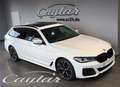 BMW 530 xd TOUR M SPORT ACC HUD TV STANDHEIZ PANO 20" Weiß - thumbnail 11