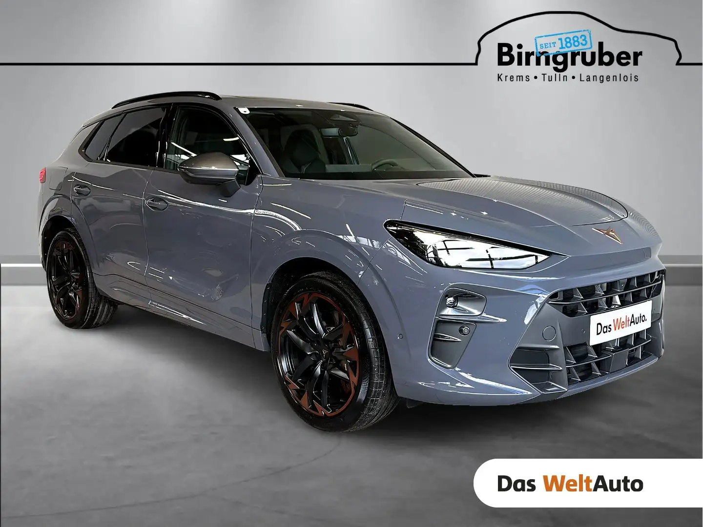 CUPRA Terramar VZ 2.0 TSI 265 PS DSG 4Drive Grau - 1