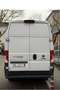 Fiat Ducato L5H3 	180 CV 	profesional - thumbnail 4