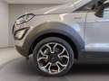Ford EcoSport 1.0 ecoboost Active s&s 125cv Grijs - thumbnail 13