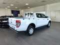 Ford Ranger 2.0 D ECOBLUE XLT Auto Lane Assist Autocarro N1G Bianco - thumbnail 8