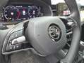 Skoda Kamiq Kamiq 1.0 TSI 110 CV DSG Style Nero - thumbnail 14
