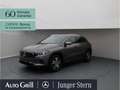Mercedes-Benz EQA 250 Progressive AHK Totwinkel ParkAssist Grau - thumbnail 1
