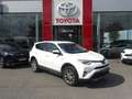 Toyota RAV 4 197 Hybride Dynamic Edition 2WD CVT Blanco - thumbnail 1