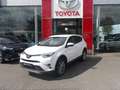 Toyota RAV 4 197 Hybride Dynamic Edition 2WD CVT Blanco - thumbnail 7