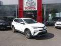 Toyota RAV 4 197 Hybride Dynamic Edition 2WD CVT Blanco - thumbnail 6