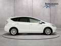 Toyota Prius+ Prius Wagon - 1.8 Aspiration // DEALERONDERHOUDEN Wit - thumbnail 12